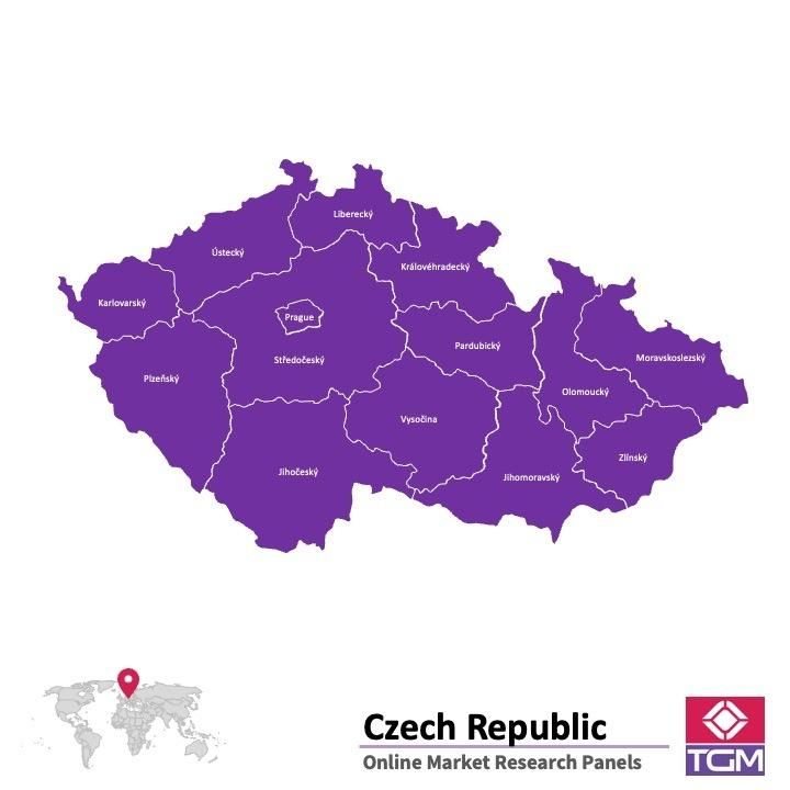 Panel online in Repubblica Ceca |  Ricerche di mercato in Repubblica Ceca