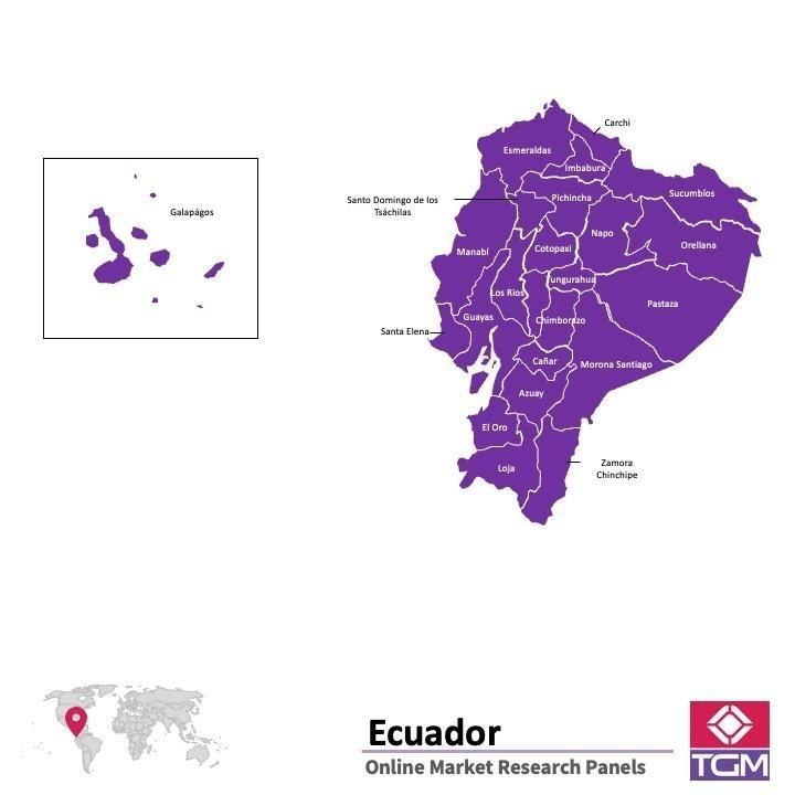 Panel online in Ecuador |  Ricerche di mercato in Ecuador