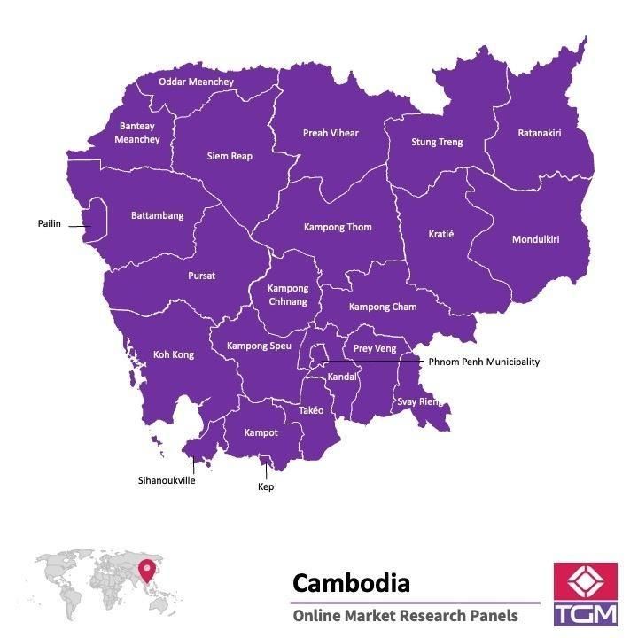 Panel online in Cambogia |  Ricerche di mercato in Cambogia