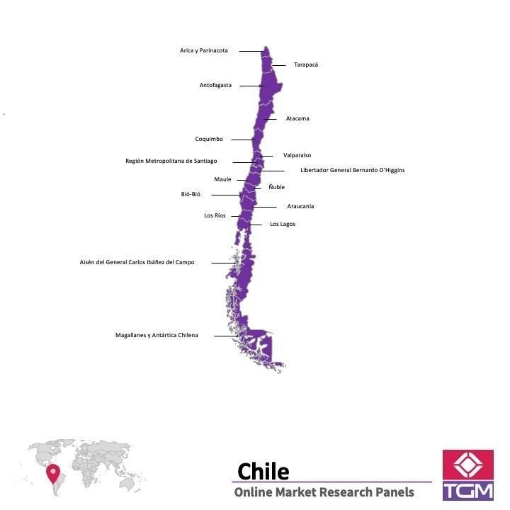 Panel online in Chile |  Ricerche di mercato in Chile