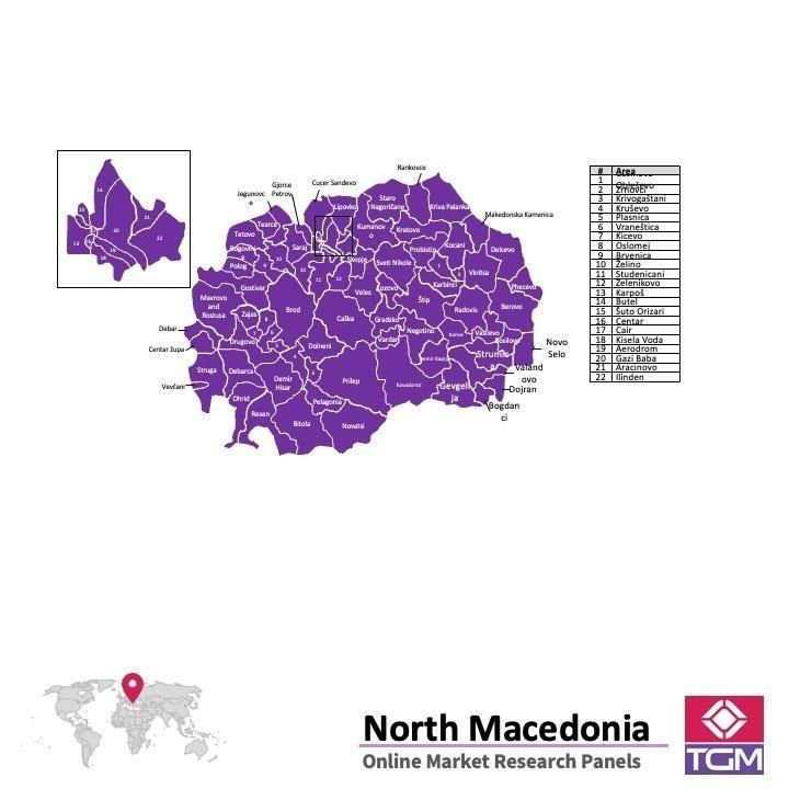 Panel online in Macedonia del Nord |  Ricerche di mercato in Macedonia del Nord