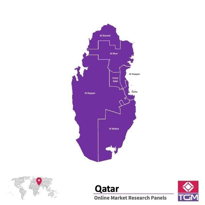 Panel online in Qatar |  Ricerche di mercato in Qatar