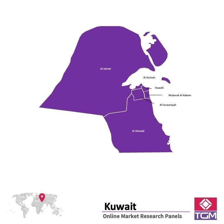 Panel online in Kuwait |  Ricerche di mercato in Kuwait