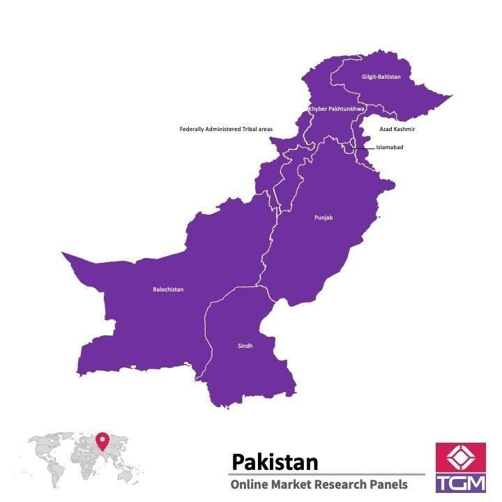 Panel online in Pakistan |  Ricerche di mercato in Pakistan