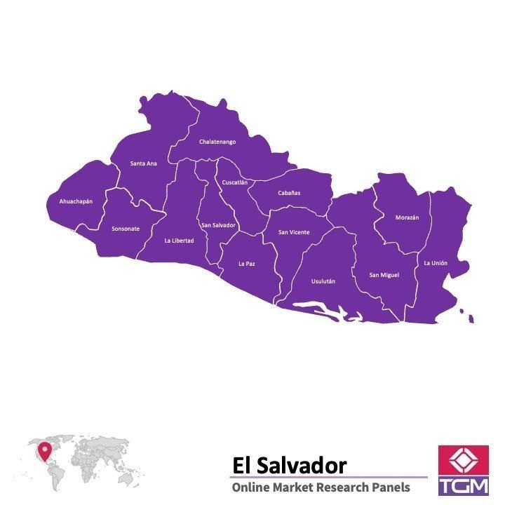Panel online in El Salvador |  Ricerche di mercato in El Salvador