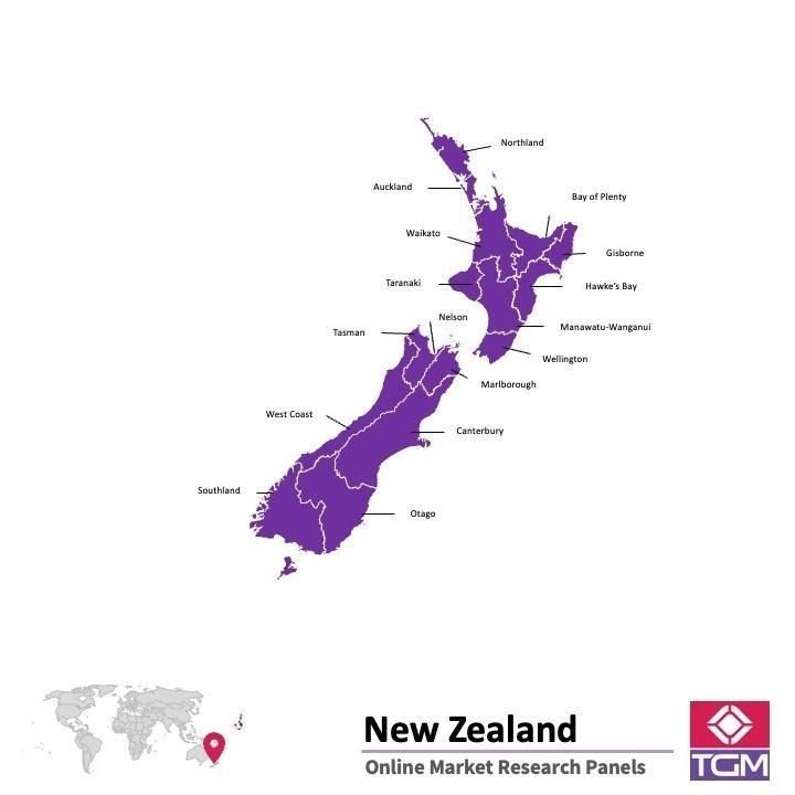 Panel online in Nuova Zelanda |  Ricerche di mercato in Nuova Zelanda